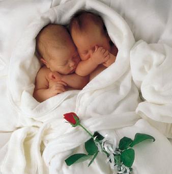 !  petit bébé  !